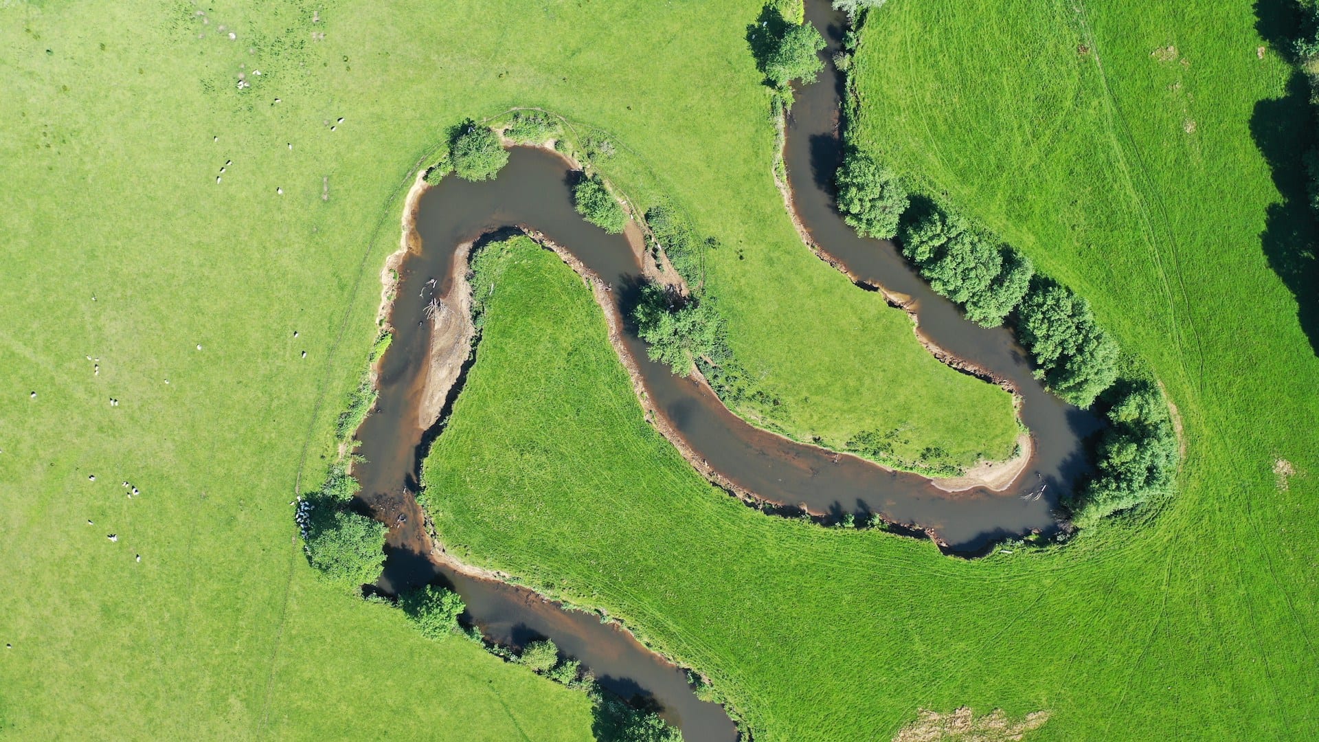 Luchtfoto van een meanderende rivier door groene weilanden